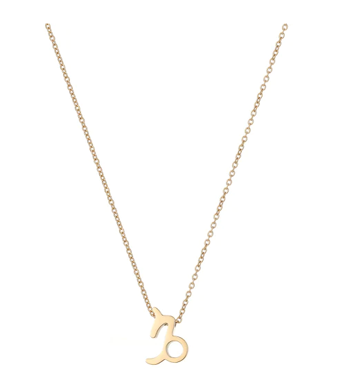 A dainty twist chain with a zodiac inspired pendant in the style of Capricorn